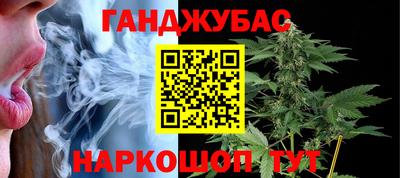 гидра Краснознаменск