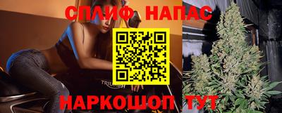 гидра Краснознаменск