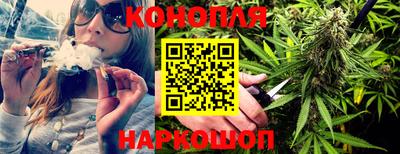 гидра Краснознаменск