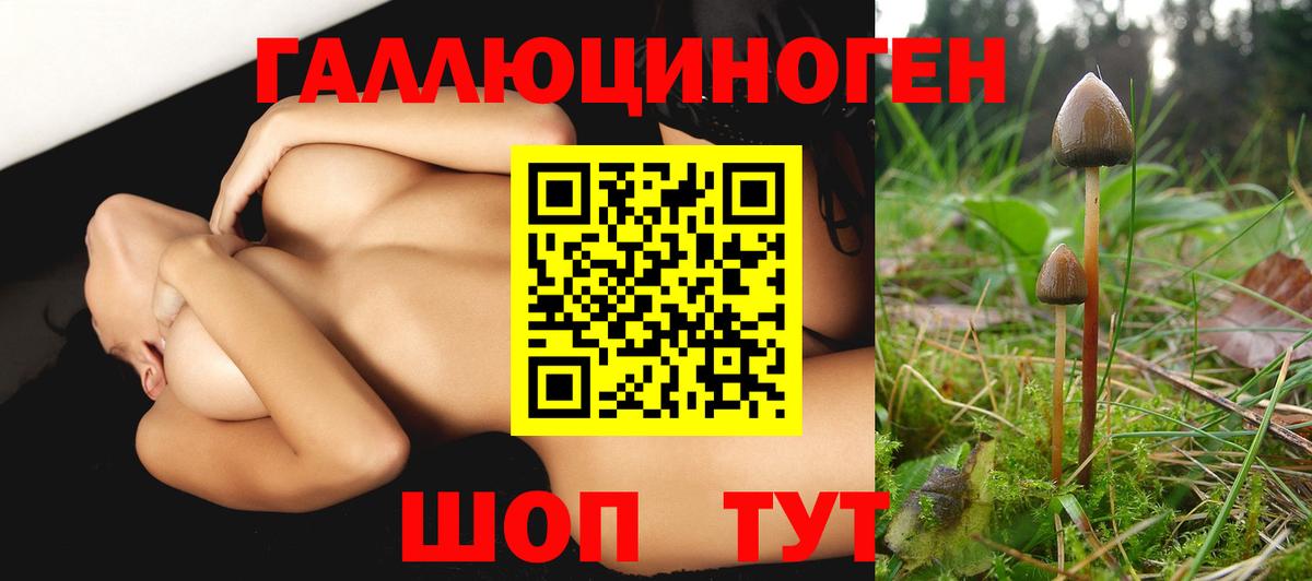 Галлюциногенные грибы GOLDEN TEACHER Каспийск